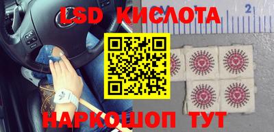 прущие грибы Кунгур