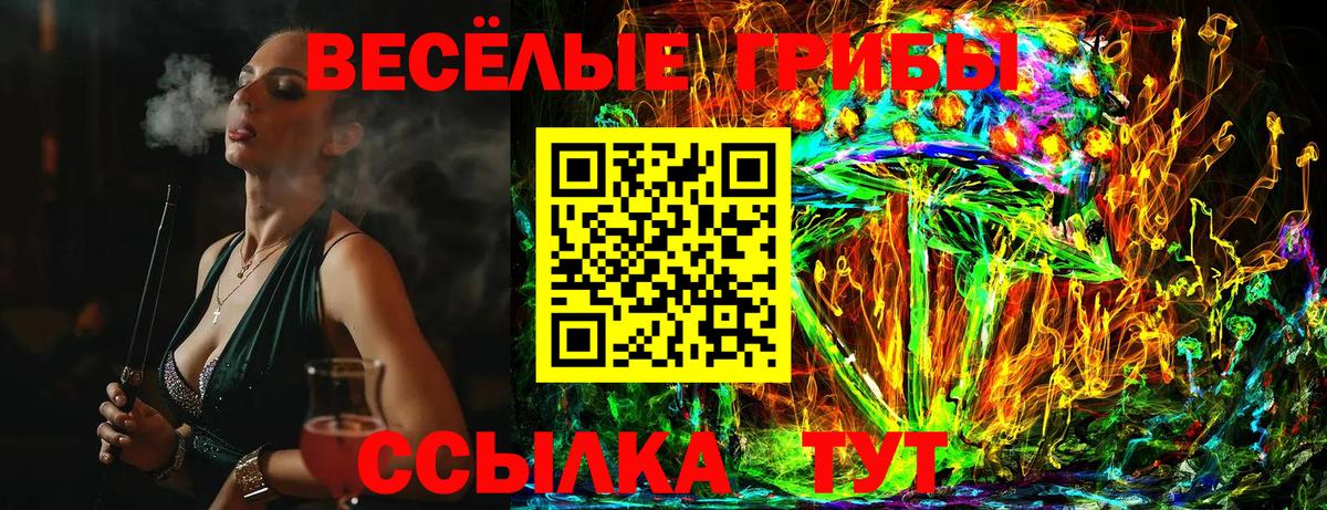 Ковров  Псилоцибиновые грибы Magic Shrooms  Вход с VPN  Псилоцибиновые грибы Psilocybine cubensis 