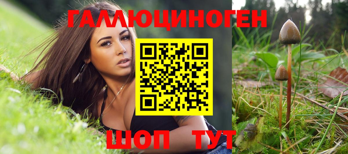 Псилоцибиновые грибы Cubensis Ковров